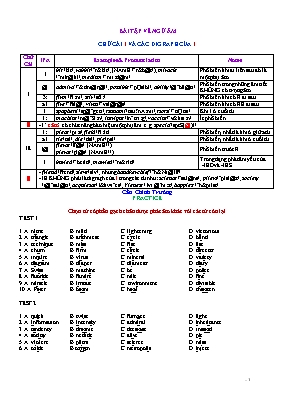 Bài tập về ngữ âm Chữ cái I và các digraph của I